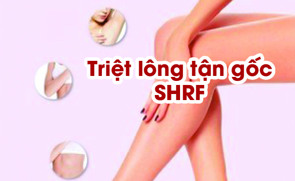 Triet_long_SHRF