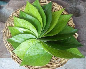 ban-co-the-lam-dep-hieu-qua-voi-la-trau-khong