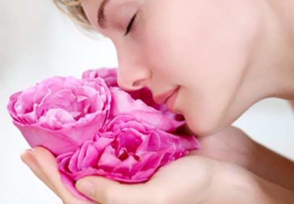 9 cách sử dụng nước hoa hồng để làm đẹp toàn thân