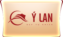 y-lan-logo